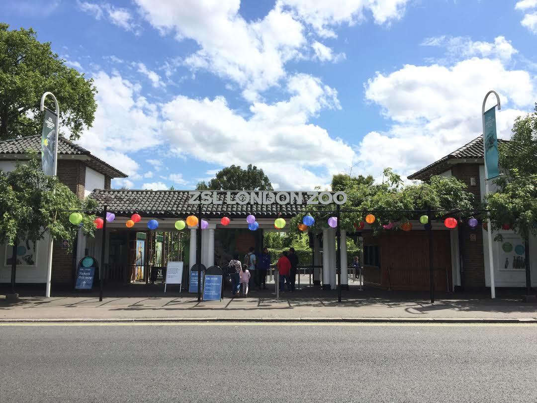 Zoo di Londra